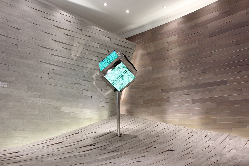 1539045040451518JC9z.jpg IMG_7663.JPG