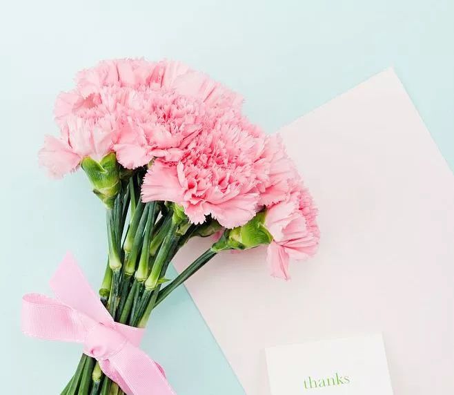 1552371961965692v5Bg.jpg 1552371961965692v5Bg.jpg